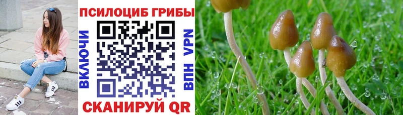 Псилоцибиновые грибы Magic Shrooms  наркота  Грязи 